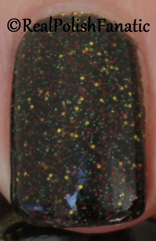 Geekish Glitter Lacquer - It's My Right To Replace Him -- Batman's Robins Collection October 2017 (15)